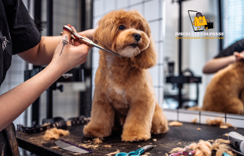 Grooming tips for pets at home 